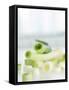 Spring Onions, Whole and Sliced-Achim Sass-Framed Stretched Canvas