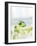 Spring Onions, Whole and Sliced-Achim Sass-Framed Photographic Print