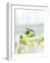 Spring Onions, Whole and Sliced-Achim Sass-Framed Photographic Print