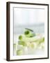 Spring Onions, Whole and Sliced-Achim Sass-Framed Photographic Print