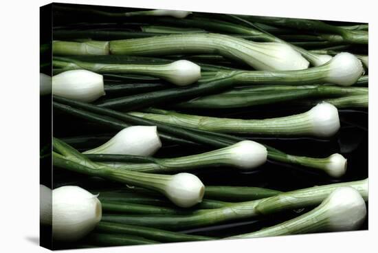 Spring Onions-Victor De Schwanberg-Stretched Canvas