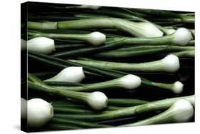 Spring Onions-Victor De Schwanberg-Stretched Canvas