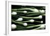 Spring Onions-Victor De Schwanberg-Framed Premium Photographic Print