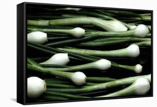 Spring Onions-Victor De Schwanberg-Framed Stretched Canvas
