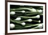 Spring Onions-Victor De Schwanberg-Framed Photographic Print