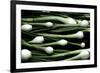 Spring Onions-Victor De Schwanberg-Framed Photographic Print