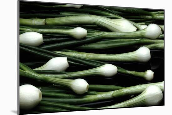 Spring Onions-Victor De Schwanberg-Mounted Photographic Print