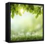 Spring or Summer Season Abstract Nature Background with Grass and Blue Sky in the Back-Krivosheev Vitaly-Framed Stretched Canvas