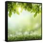 Spring or Summer Season Abstract Nature Background with Grass and Blue Sky in the Back-Krivosheev Vitaly-Framed Stretched Canvas