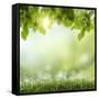 Spring or Summer Season Abstract Nature Background with Grass and Blue Sky in the Back-Krivosheev Vitaly-Framed Stretched Canvas