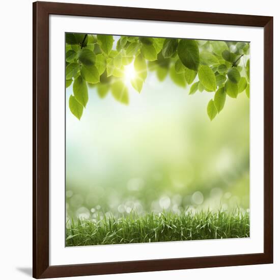 Spring or Summer Season Abstract Nature Background with Grass and Blue Sky in the Back-Krivosheev Vitaly-Framed Photographic Print