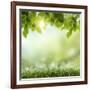 Spring or Summer Season Abstract Nature Background with Grass and Blue Sky in the Back-Krivosheev Vitaly-Framed Photographic Print