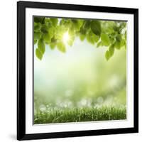 Spring or Summer Season Abstract Nature Background with Grass and Blue Sky in the Back-Krivosheev Vitaly-Framed Photographic Print