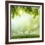 Spring or Summer Season Abstract Nature Background with Grass and Blue Sky in the Back-Krivosheev Vitaly-Framed Photographic Print