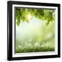 Spring or Summer Season Abstract Nature Background with Grass and Blue Sky in the Back-Krivosheev Vitaly-Framed Photographic Print