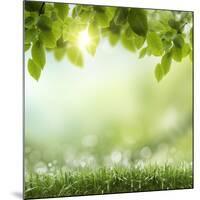 Spring or Summer Season Abstract Nature Background with Grass and Blue Sky in the Back-Krivosheev Vitaly-Mounted Photographic Print