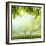 Spring or Summer Season Abstract Nature Background with Grass and Blue Sky in the Back-Krivosheev Vitaly-Framed Photographic Print