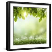 Spring or Summer Season Abstract Nature Background with Grass and Blue Sky in the Back-Krivosheev Vitaly-Framed Photographic Print