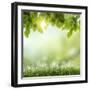 Spring or Summer Season Abstract Nature Background with Grass and Blue Sky in the Back-Krivosheev Vitaly-Framed Photographic Print