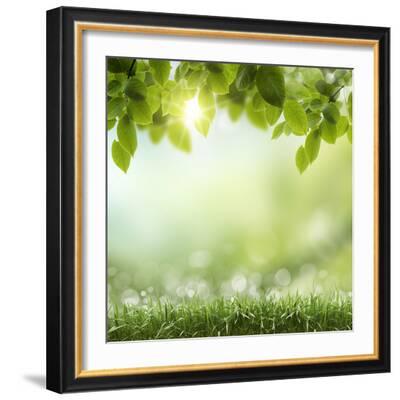 Spring Or Summer Season Abstract Nature Background With Grass And Blue Sky In The Back Photographic Print Krivosheev Vitaly Allposters Com