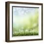 Spring or Summer Season Abstract Nature Background with Grass and Blue Sky in the Back-Krivosheev Vitaly-Framed Art Print