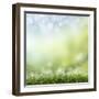 Spring or Summer Season Abstract Nature Background with Grass and Blue Sky in the Back-Krivosheev Vitaly-Framed Art Print