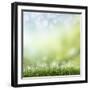 Spring or Summer Season Abstract Nature Background with Grass and Blue Sky in the Back-Krivosheev Vitaly-Framed Art Print