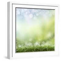 Spring or Summer Season Abstract Nature Background with Grass and Blue Sky in the Back-Krivosheev Vitaly-Framed Art Print