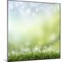 Spring or Summer Season Abstract Nature Background with Grass and Blue Sky in the Back-Krivosheev Vitaly-Mounted Art Print