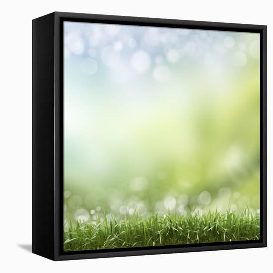 Spring or Summer Season Abstract Nature Background with Grass and Blue Sky in the Back-Krivosheev Vitaly-Framed Stretched Canvas