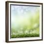 Spring or Summer Season Abstract Nature Background with Grass and Blue Sky in the Back-Krivosheev Vitaly-Framed Premium Giclee Print