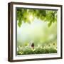 Spring or Summer Season Abstract Nature Background with Grass and Blue Sky in the Back-Krivosheev Vitaly-Framed Art Print