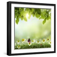 Spring or Summer Season Abstract Nature Background with Grass and Blue Sky in the Back-Krivosheev Vitaly-Framed Art Print