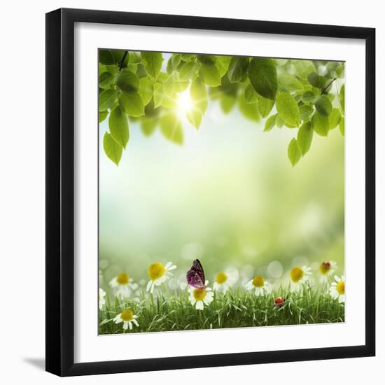 Spring or Summer Season Abstract Nature Background with Grass and Blue Sky in the Back-Krivosheev Vitaly-Framed Art Print