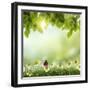 Spring or Summer Season Abstract Nature Background with Grass and Blue Sky in the Back-Krivosheev Vitaly-Framed Art Print