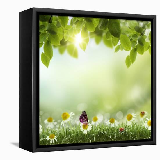 Spring or Summer Season Abstract Nature Background with Grass and Blue Sky in the Back-Krivosheev Vitaly-Framed Stretched Canvas