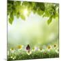 Spring or Summer Season Abstract Nature Background with Grass and Blue Sky in the Back-Krivosheev Vitaly-Mounted Art Print