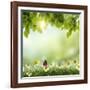 Spring or Summer Season Abstract Nature Background with Grass and Blue Sky in the Back-Krivosheev Vitaly-Framed Art Print