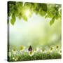 Spring or Summer Season Abstract Nature Background with Grass and Blue Sky in the Back-Krivosheev Vitaly-Stretched Canvas