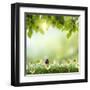 Spring or Summer Season Abstract Nature Background with Grass and Blue Sky in the Back-Krivosheev Vitaly-Framed Art Print