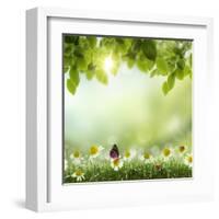 Spring or Summer Season Abstract Nature Background with Grass and Blue Sky in the Back-Krivosheev Vitaly-Framed Art Print