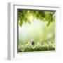 Spring or Summer Season Abstract Nature Background with Grass and Blue Sky in the Back-Krivosheev Vitaly-Framed Art Print