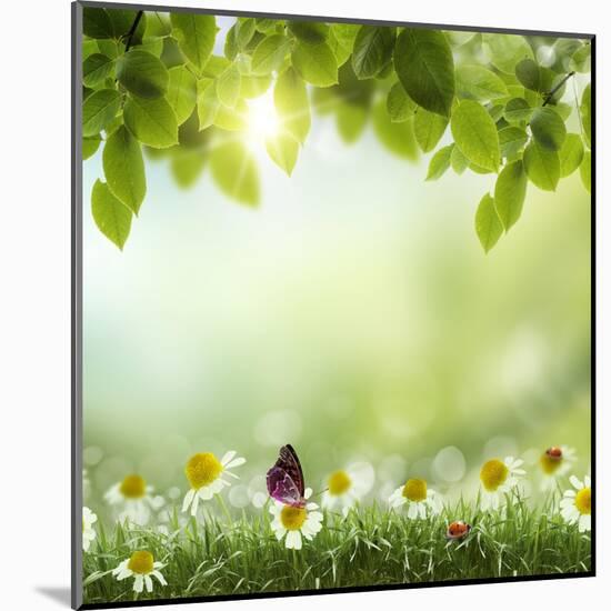 Spring or Summer Season Abstract Nature Background with Grass and Blue Sky in the Back-Krivosheev Vitaly-Mounted Art Print