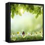 Spring or Summer Season Abstract Nature Background with Grass and Blue Sky in the Back-Krivosheev Vitaly-Framed Stretched Canvas