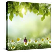 Spring or Summer Season Abstract Nature Background with Grass and Blue Sky in the Back-Krivosheev Vitaly-Stretched Canvas