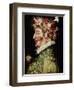 Spring Painting by Giuseppe Arcimboldo (1527-1593). 1589. Madrid. Real Academy of Bellas Artes De S-Giuseppe Arcimboldo-Framed Giclee Print