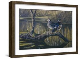 Spring Pair - Wood Ducks-Wilhelm Goebel-Framed Giclee Print