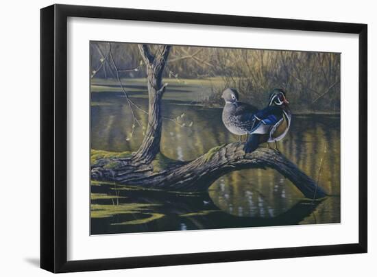 Spring Pair - Wood Ducks-Wilhelm Goebel-Framed Giclee Print