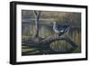 Spring Pair - Wood Ducks-Wilhelm Goebel-Framed Giclee Print