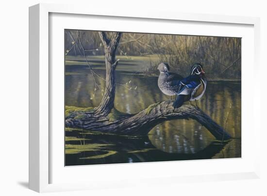 Spring Pair - Wood Ducks-Wilhelm Goebel-Framed Giclee Print